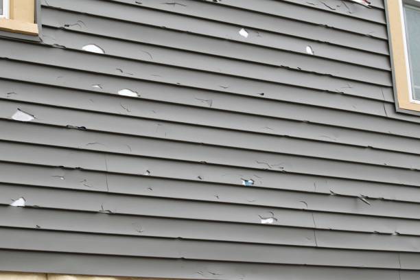 Professional Junk Removal in Storrs, CT